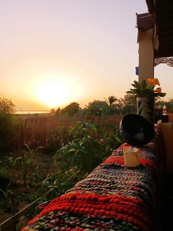 Kayan House Villa Tunis Dış mekan fotoğraf