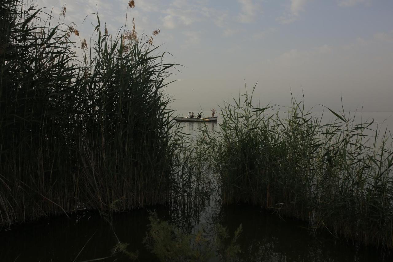 Kayan House Villa Tunis Dış mekan fotoğraf